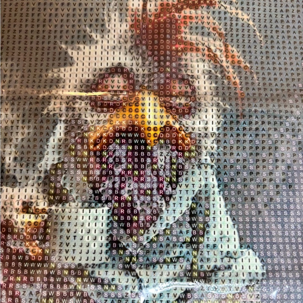 303- Diamond Art Supply Co. Quirky Rooster Print